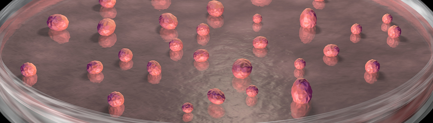  OrganoidXplore: Routine and Rapid Compound Testing in a Large Panel of Organoids