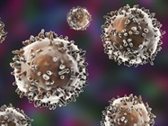 Infographic: Cells of the Immune System