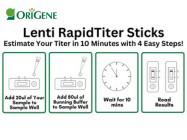 New Lenti RapidTiter™ Sticks: Estimate Lentiviral Titer in Just 10 Minutes