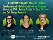 Development of a Cell-Based Reporter Assay for Measuring ADAR1 Editing Activity for Drug Discovery and Cell Biology Research