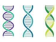 Target Enrichment Strategies for Genomic Research