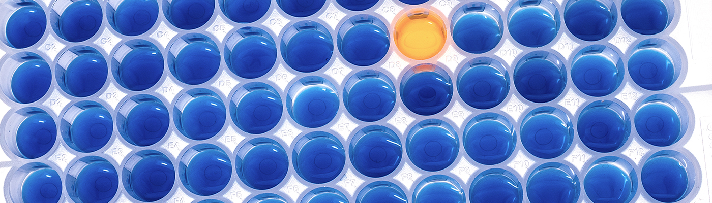  Trust Your Results with Rigorously Validated ELISA Kits