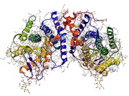 Considerations for Choosing a Protein Production Service Provider