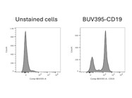 Highly Recommended Anti-Mouse CD19 Monoclonal Antibody for Primary Cells