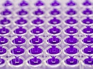 Infographic: Guide to Multiplex Immunoassays