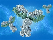 Recombinant Antibody Technology: Its Criticality to Past and Future Biopharmaceutical Success