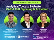 Analytical Tools to Evaluate CAR-T Cell Signaling & Activation
