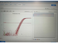 Efficient and Cost Friendly SYBR Green Mastermix for qPCR