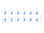 Flow Staining of In Vitro Translation Activity of GM-CSF mRNA Vaccine