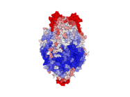 Solutions for RSV vaccine and drug development