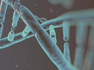 Infographic: Next-Generation Sequencing Overview