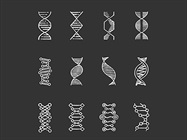 Methods for Quantifying Nucleic Acids