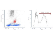 CD26 Antibody From BD Biosciences is Decent for Staining of Monocytes