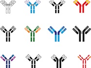 Frontiers in Protein Quantitation