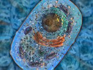 Cell viability: comparing different microplate-based kits on the VANTAstar