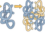 Antibody Engineering: Strategies for Design & Optimization