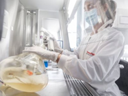 GeneArt Protein Expression & Purification Services