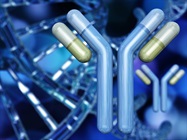 Infographic: Immunodetection Fundamentals