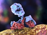 Antibody–drug conjugates: a breakthrough in the targeted therapy era