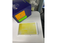 Guaranteed Reliable Results With the Human BDNF ELISA Kit From RayBiotech