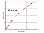 Critical Tests to Consider for ELISA Validation