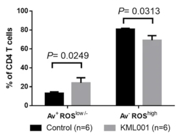 Great Kit From Miltenyi Biotec for CD4+ T Cell Isolation From Human PBMCs