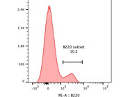 PE Anti-Mouse/Human CD45R/B220 Antibody Ideal for Both Human and Mouse Cells