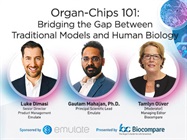 Organ-Chips 101: Bridging the Gap Between Traditional Models and Human Biology