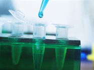 Streamline Your Protein Biomarker Screening