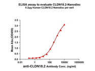 Human CLDN18.2 full length protein-synthetic nanodisc