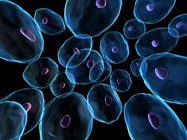 Infographic: Regenerative Medicine Overview
