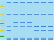 The Next Generation of Western Blot Normalization
