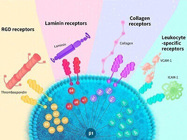 High-quality Integrin Proteins