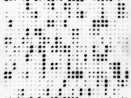 Protein profiling with precision