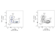 Great XCR-1 Antibody for Identifying Classical Type 1 Dendritic Cells (cDC1s) by Flow Cytometry