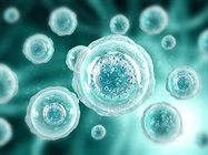 Cell Line Development in Drug Discovery