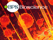 Novel Reporter Cell Lines for Emerging Therapeutic Areas