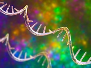 Best Practices for Efficient RNA Extractions