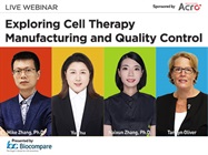 Exploring Cell Therapy Manufacturing and Quality Control