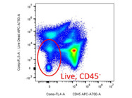 I Would Highly Recommend Purchasing This CD45.2 Antibody From BioLegend