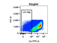 FITC Anti-Mouse Lineage Cocktail From BioLegend Has a Great Signal