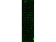 The Human MMP Array From RayBiotech is Worth the Purchase