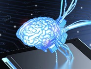 3D Cell Culture Tools