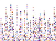 Benefits and Challenges of NGS in Clinical Diagnostics