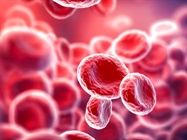 Preservation of patient whole blood preserves cancer cell biology at single cell resolution