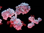 Addressing Antibody-Drug Conjugate Development Challenges