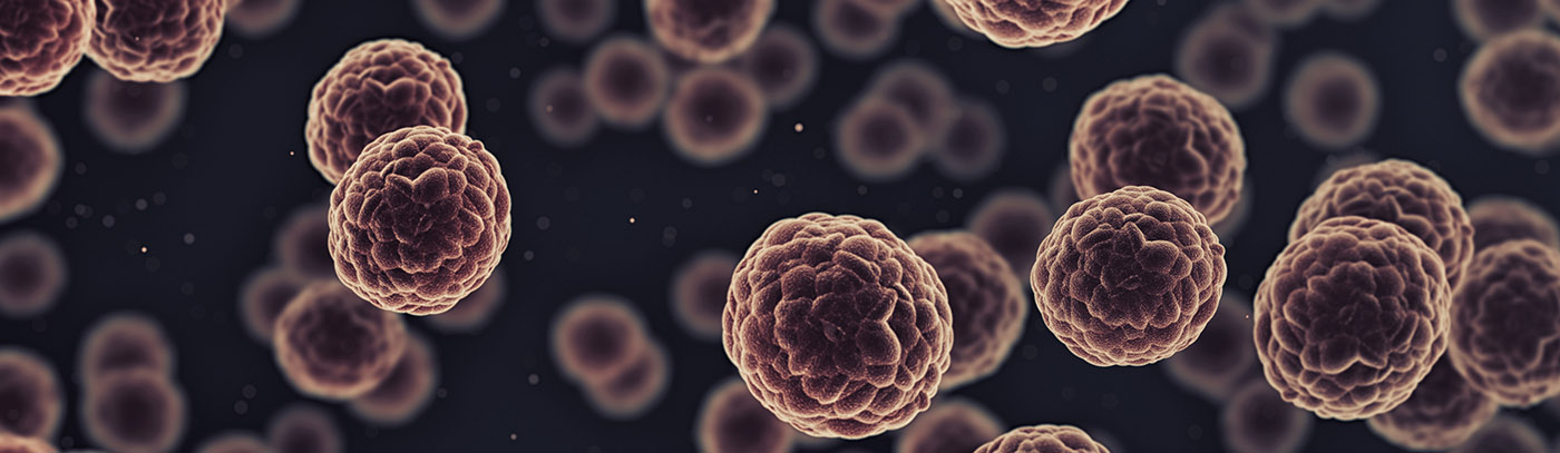 Tools for Measuring Cell Proliferation | Biocompare: The Buyer's Guide ...