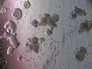 Effective Recombinant Cytokine as Media Additive