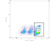 Decent  IFN-Gamma Antibody With High Sensitivity From BioLegend