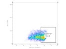 Perfect Marker for Degranulation From BioLegend